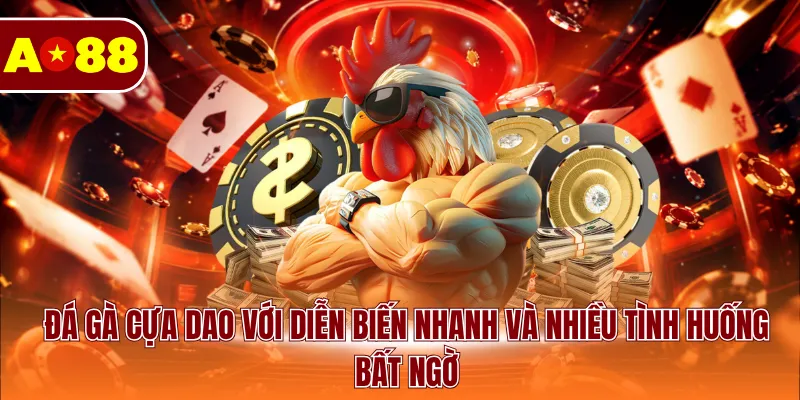 Đá gà cựa dao với diễn biến nhanh và nhiều tình huống bất ngờ